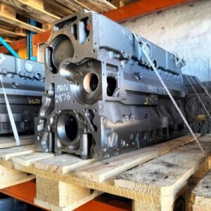 IMG20220426085329-1536x1152-1.jpg MAN D2876 Truck Engine