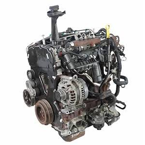 Ford Ranger Wildtrak (3.2L Duratorq Diesel) Engine